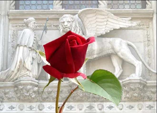 Bed & Breakfast Ca' Maddalena 3*