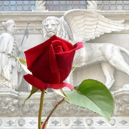 Oda ve Kahvaltı Ca' Maddalena 3*